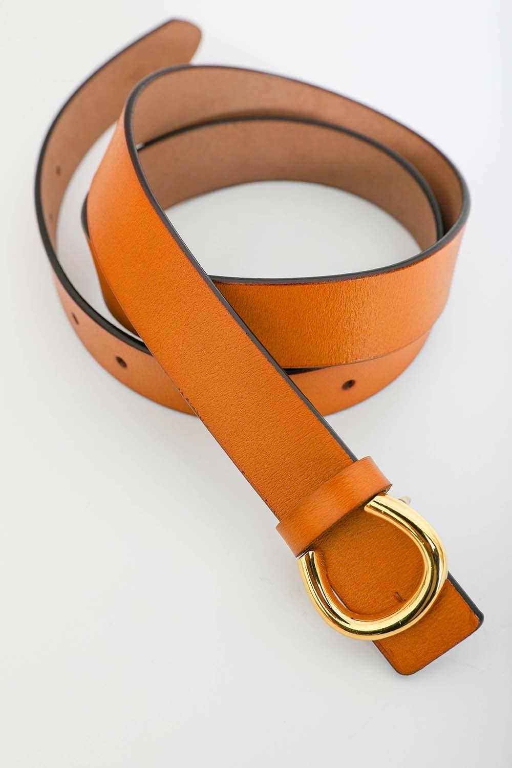 Camel Minimalist Gold Horseshoe Belt