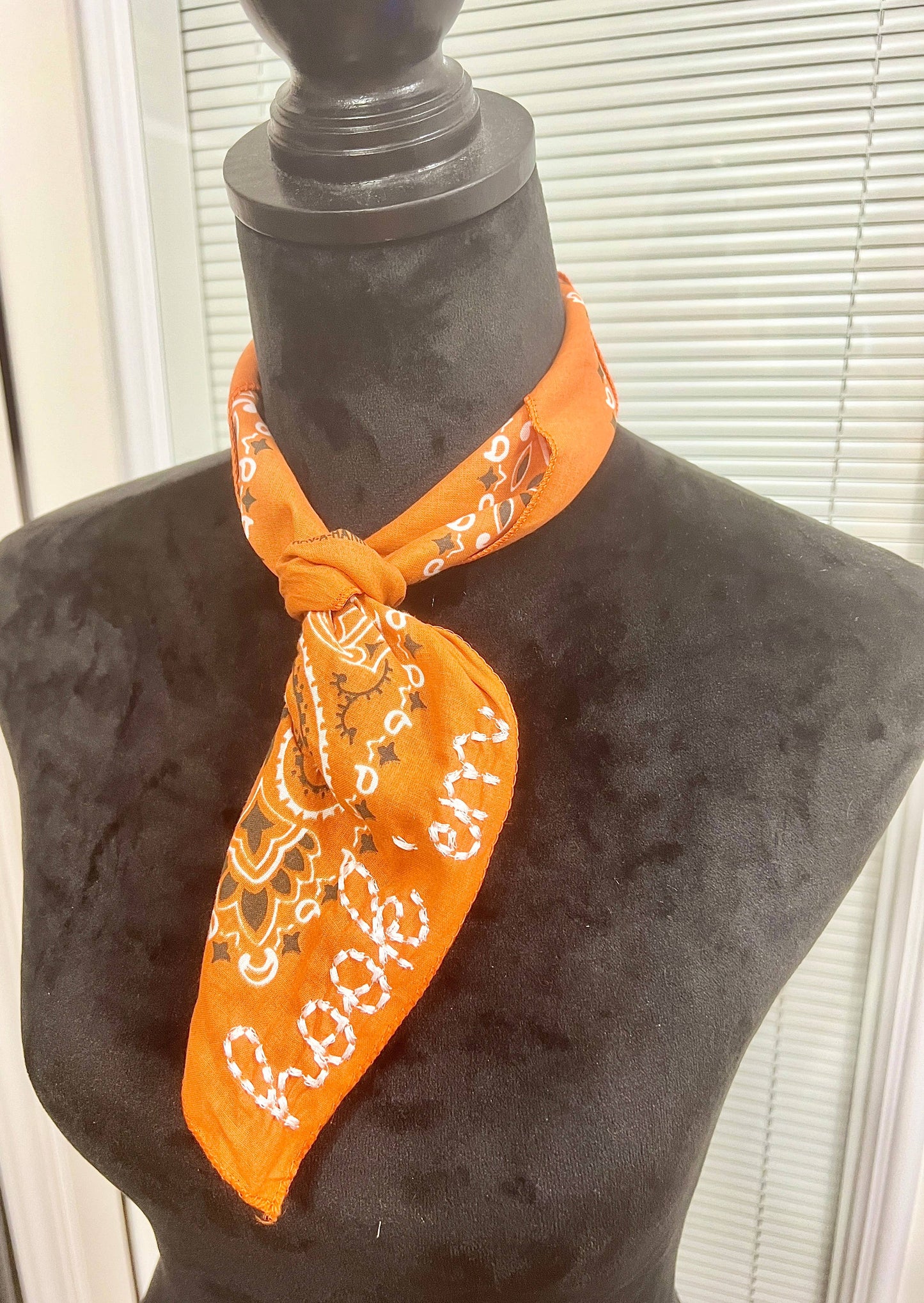 Hook 'Em Embroidered Bandana