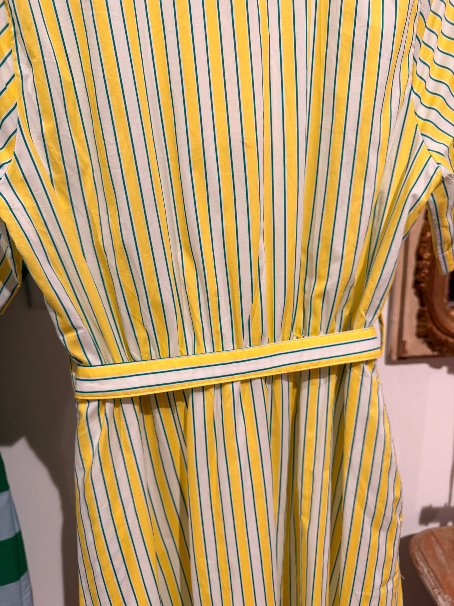 Citrus Striped Button Up Dress