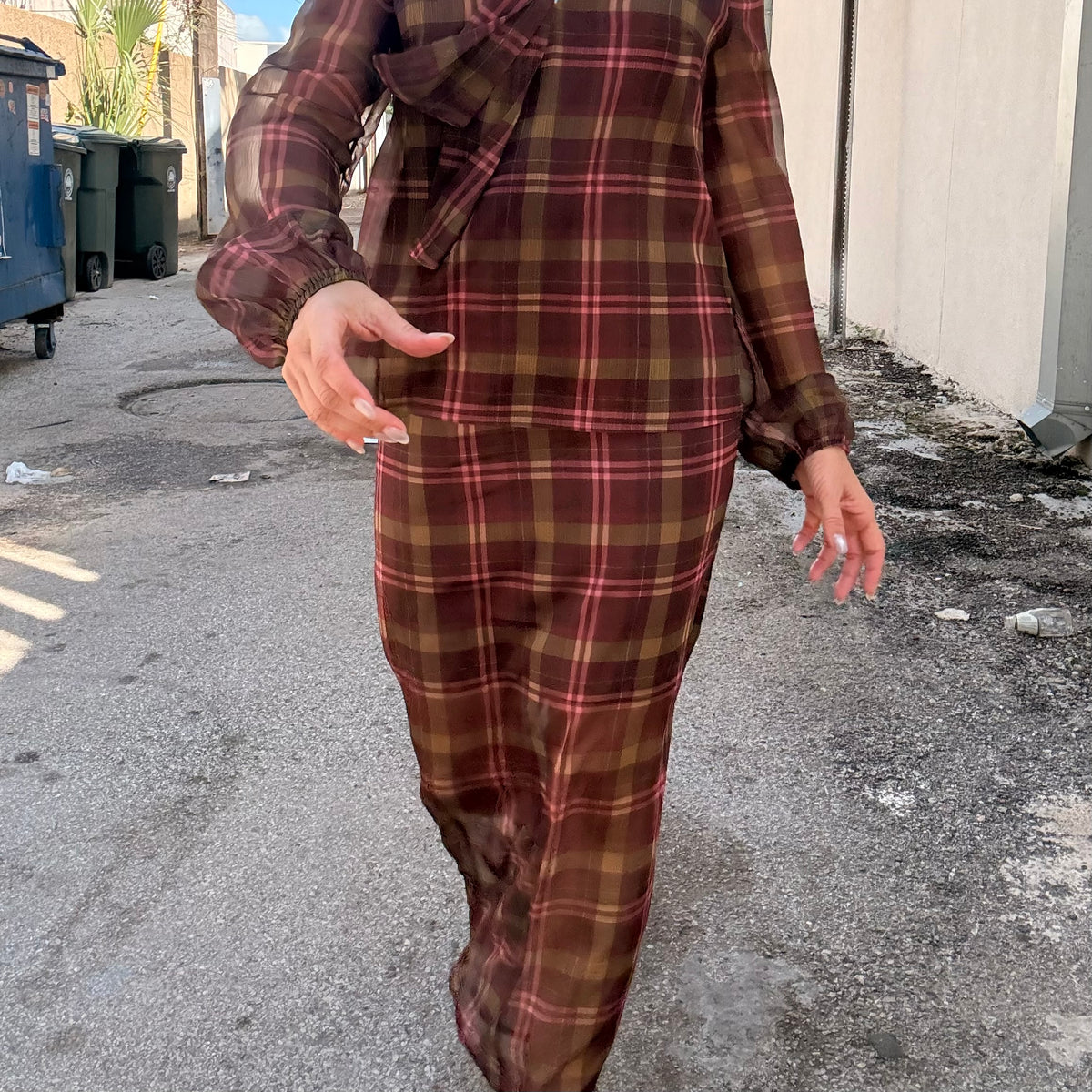 After Hours Sheer Plaid Tie-Neck Blouse (part of a set)