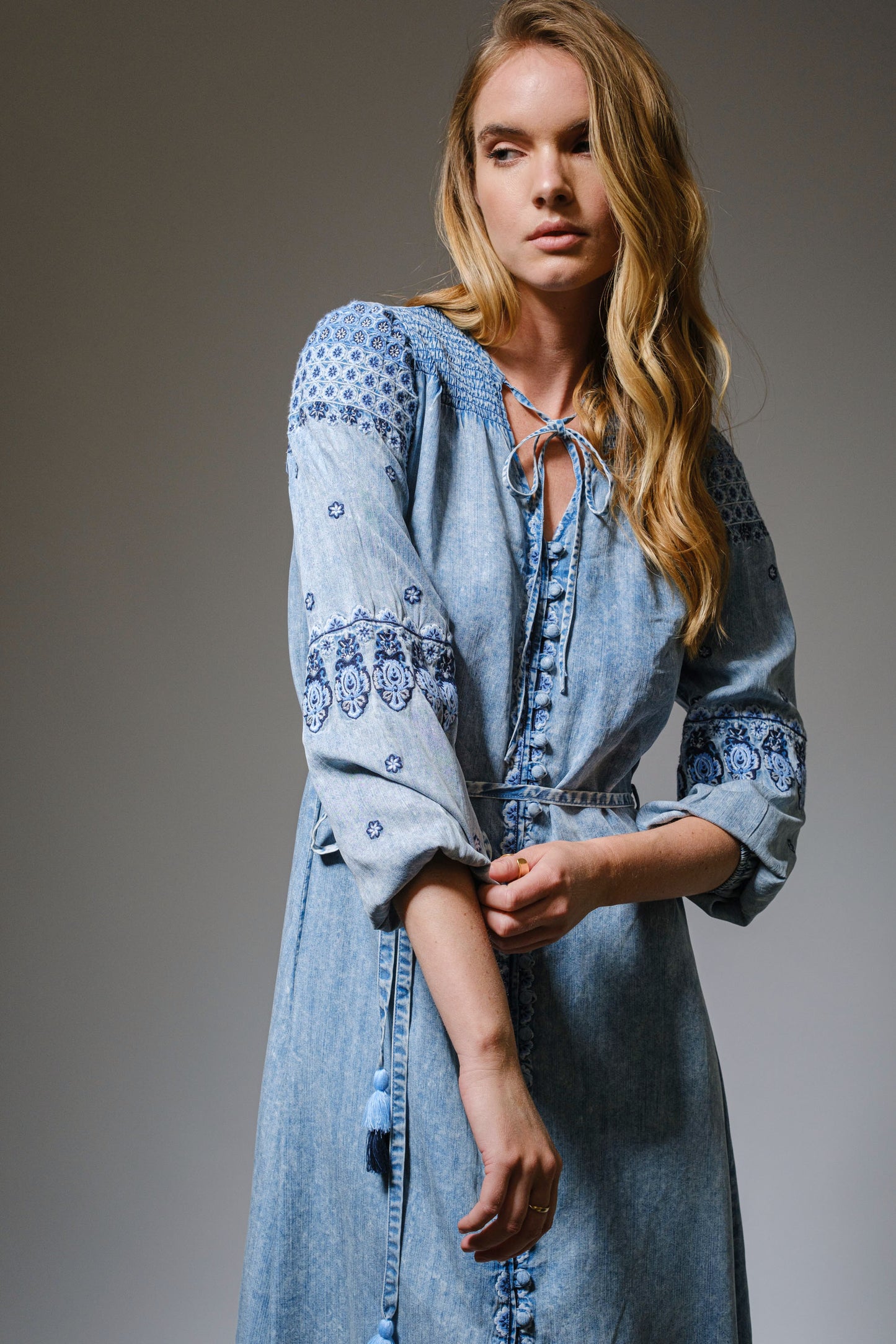 Embroidered Denim Maxi Dress