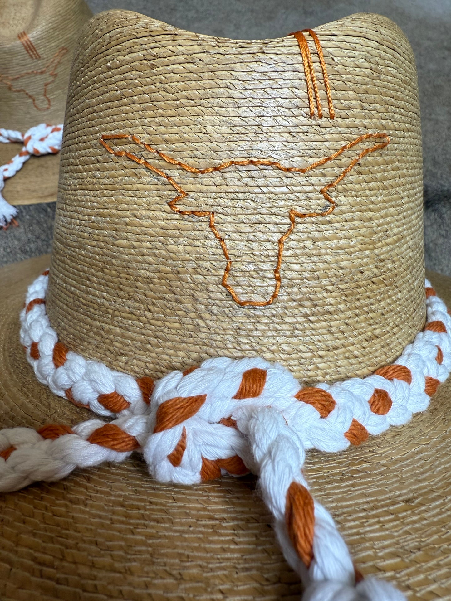 Texas Longhorns Palm Hat