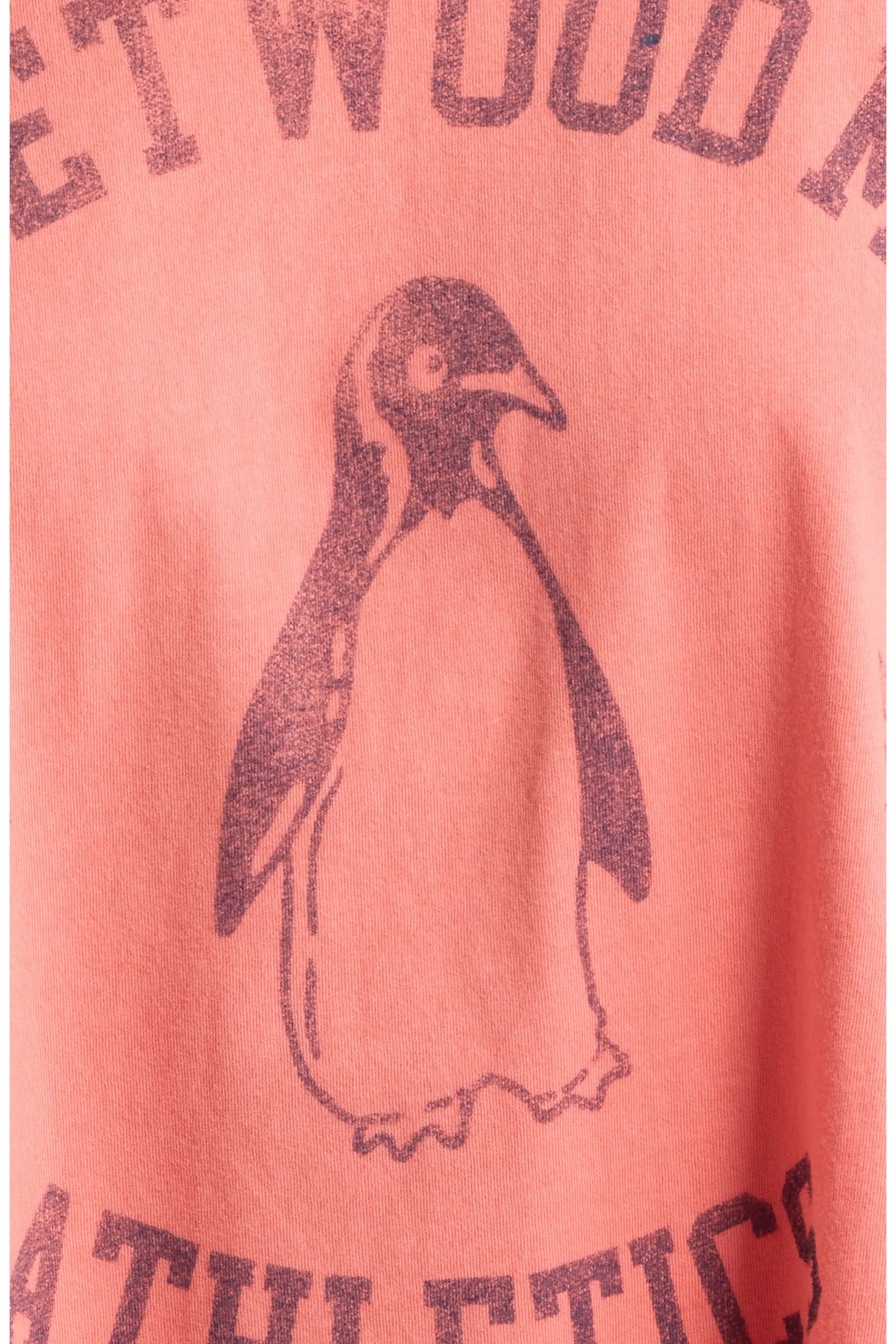 Fleetwood Mac Athletics Graphic Long Sleeve Tee - Daydreamer