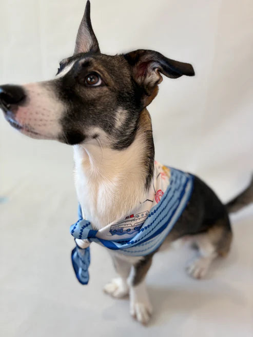 Texas Hold 'Em Scarf 25x25" - Bold Lone Star Print