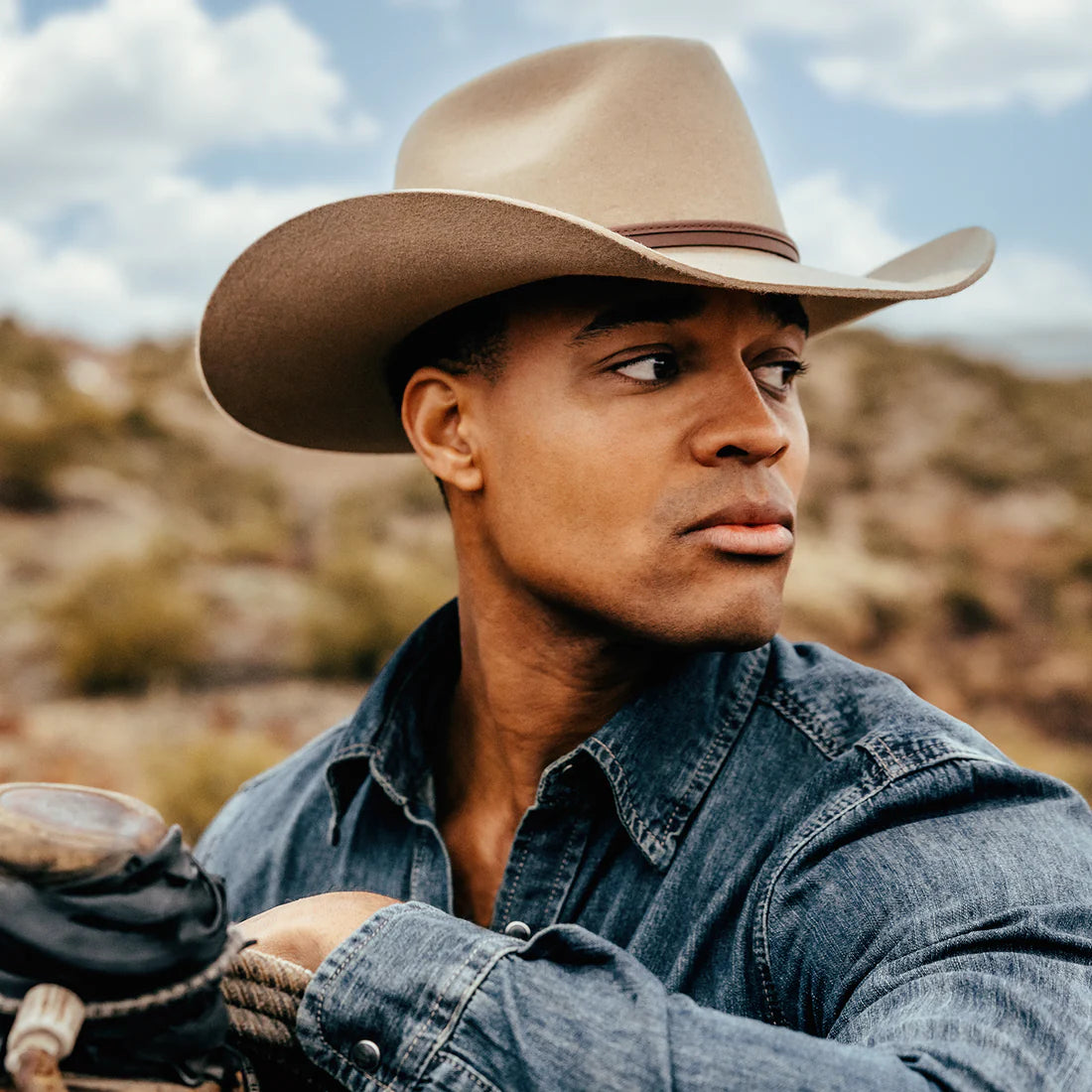 Stetson 4X Seneca Silver Sand Buffalo Collection Felt Cowboy Hat