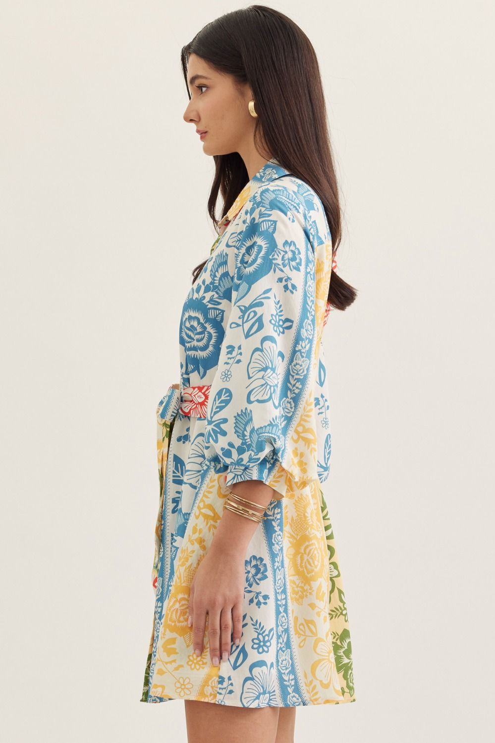 Denim Blue Botanical Stripe Dress