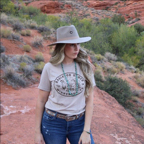 Charlie 1 Horse Highway Felt Western Hat | Mushroom