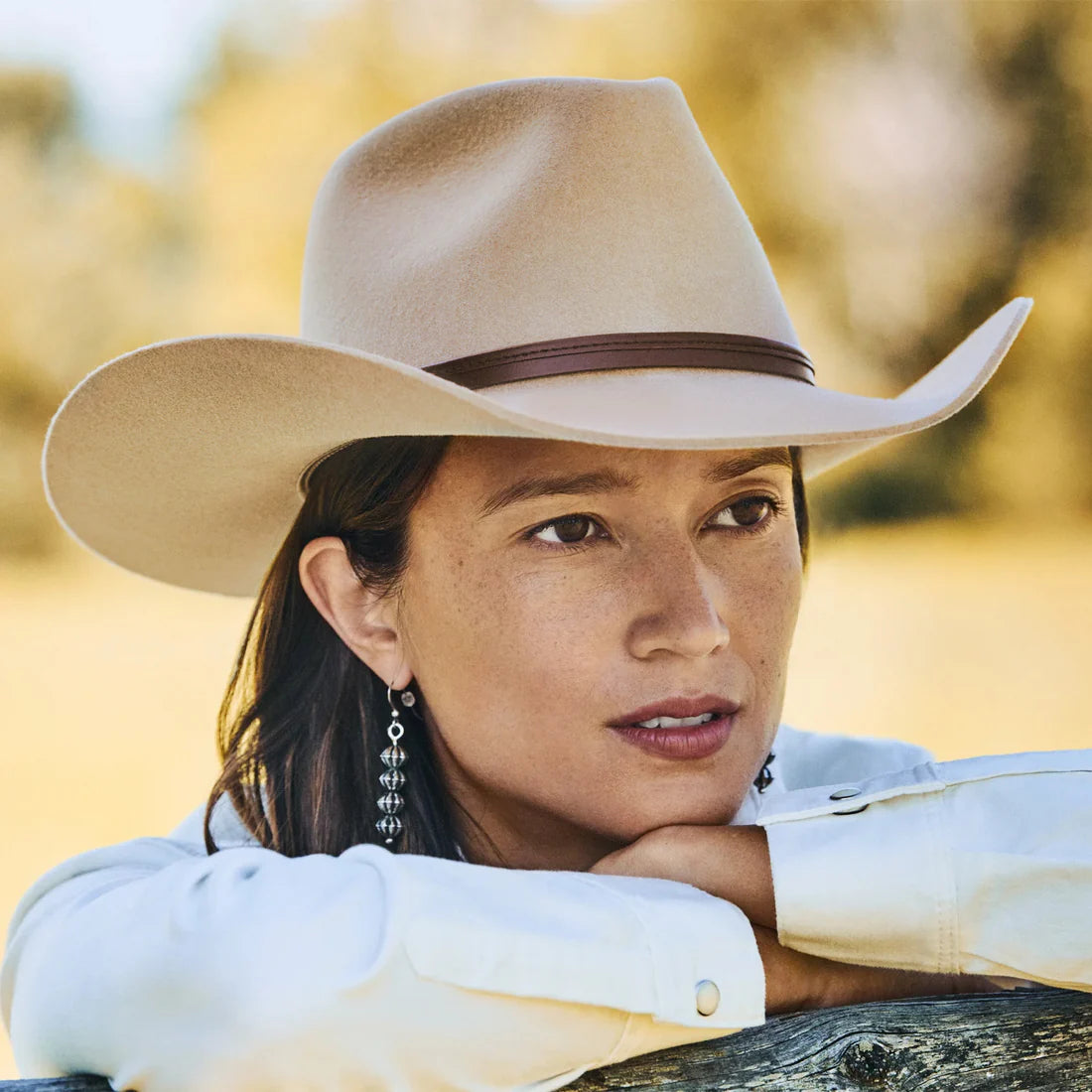 Stetson 4X Seneca Silver Sand Buffalo Collection Felt Cowboy Hat