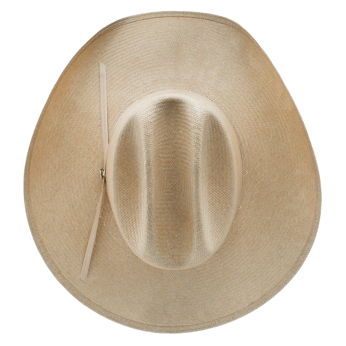 Charlie 1 Horse Silverbelly The Cowgirl Hat