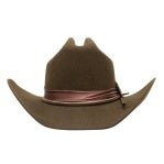 Charlie 1 Horse Chocolate Songbird Junior Wool Hat